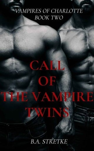 Call of the Vampire Twins by B.A. Stretke