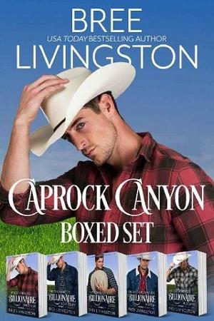 Caprock Canyon Boxed Set by Bree Livingston