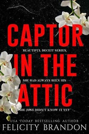 Captor in the Attic by Felicity Brandon