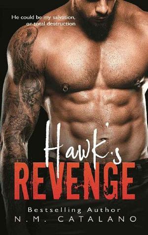 Hawk’s Revenge by N.M. Catalano
