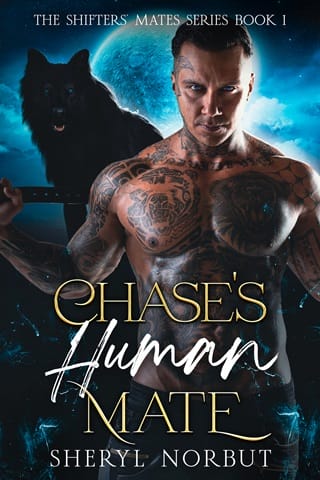 Chase’s Human Mate by Sheryl Norbut