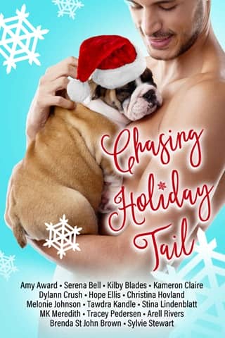 Chasing Holiday Tail by Dylann Crush