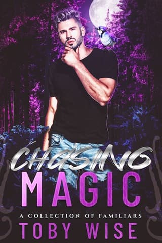 Chasing Magic by Toby Wise