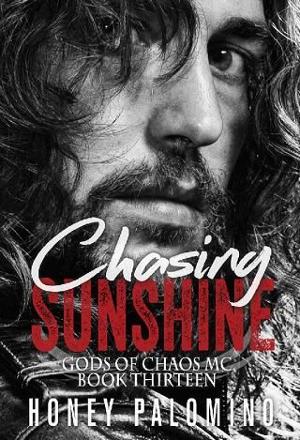 Chasing Sunshine by Honey Palomino