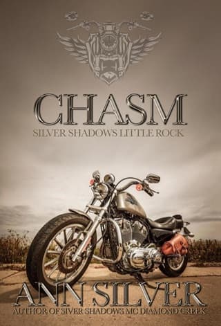 Chasm by Ann Silver