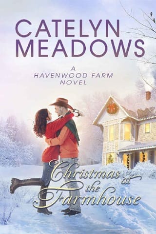 Christmas at the Farmhouse by Catelyn Meadows