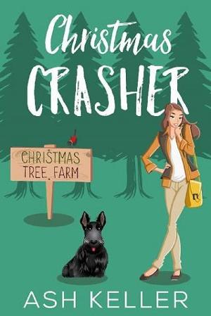 Christmas Crasher by Ash Keller