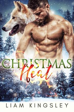 Christmas Heat by Liam Kingsley