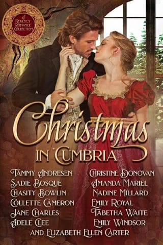Christmas In Cumbria by Tammy Andresen
