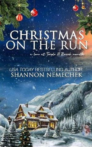 Christmas on the Run by Shannon Nemechek