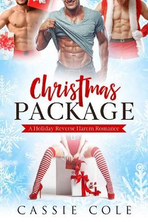 Christmas Package by Cassie Cole