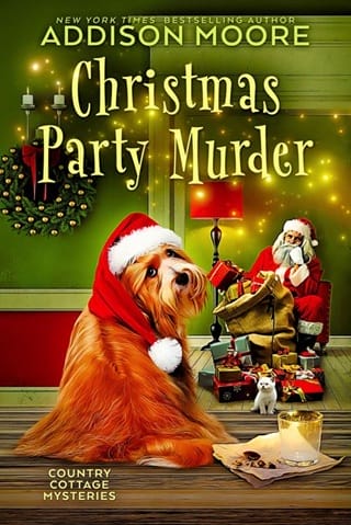 Christmas Party Murder by Addison Moore