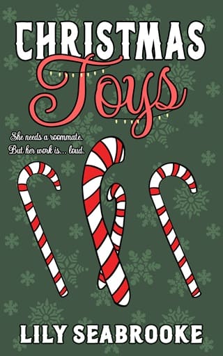 Christmas Toys by Lily Seabrooke