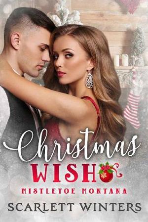 Christmas Wish by Scarlett Winters