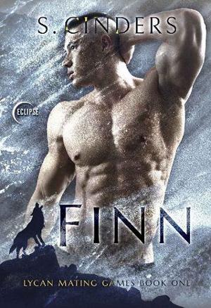 Finn by S. Cinders