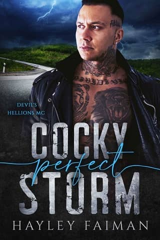 Cocky Perfect Storm by Hayley Faiman