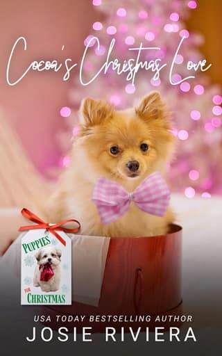 Cocoa’s Christmas Love by Josie Riviera