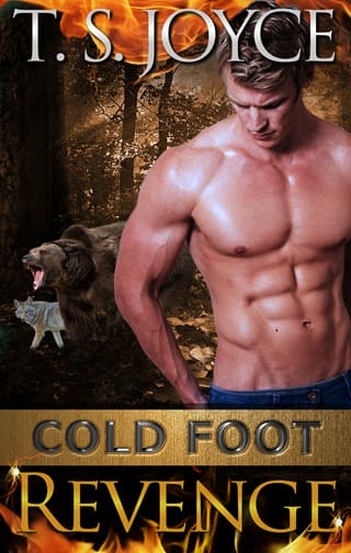 Cold Foot Revenge by T. S. Joyce