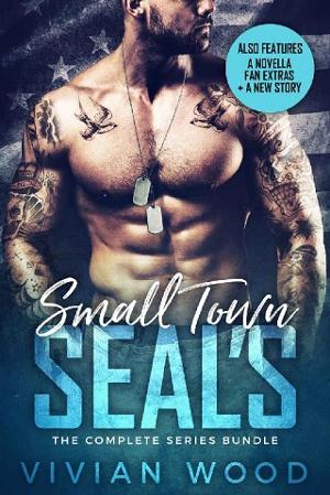 Small Town SEALs: Complete Collection by Vivian Wood