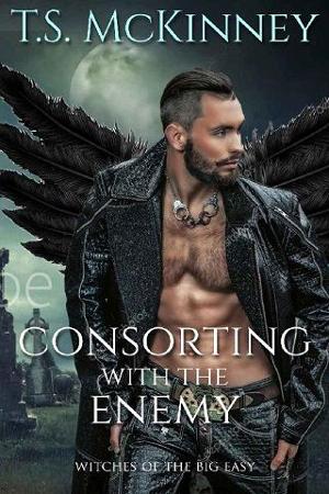 Consorting With The Enemy by TS McKinney