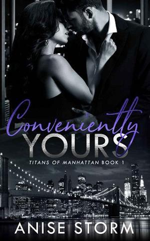 Conveniently Yours by Anise Storm