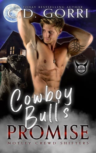 Cowboy Bull’s Promise by C.D. Gorri