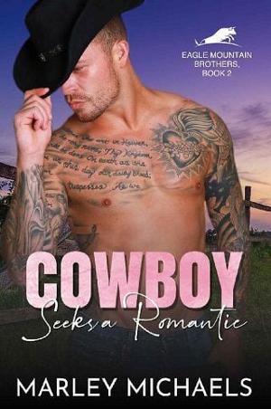 Cowboy Seeks a Romantic by Marley Michaels