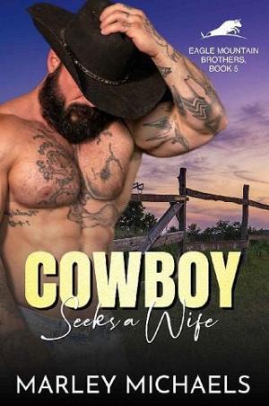 Cowboy Seeks a Wife by Marley Michaels
