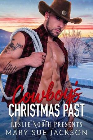 Cowboy’s Christmas Past by Mary Sue Jackson