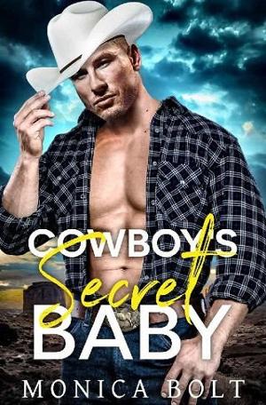 Cowboy’s Secret Baby by Monica Bolt