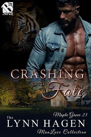 Crashing into Fate by Lynn Hagen