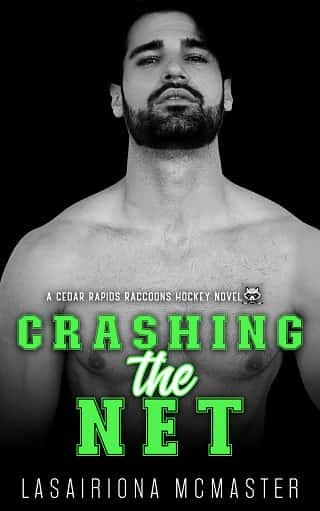 Crashing the Net by Lasairiona McMaster