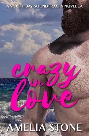 Crazy In Love by Amelia Stone
