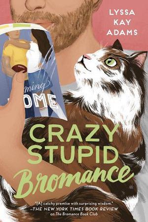 Crazy Stupid Bromance by Lyssa Kay Adams