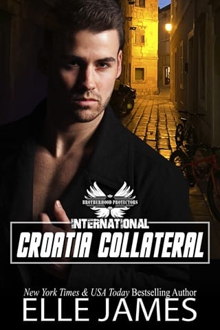 Croatia Collateral by Elle James