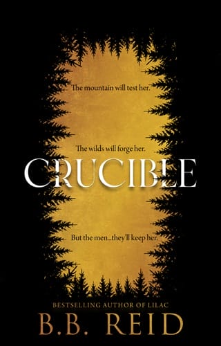 Crucible by B.B. Reid