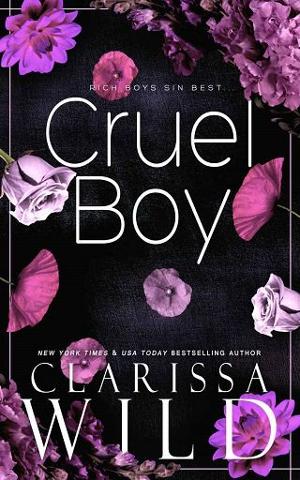Cruel Boy by Clarissa Wild
