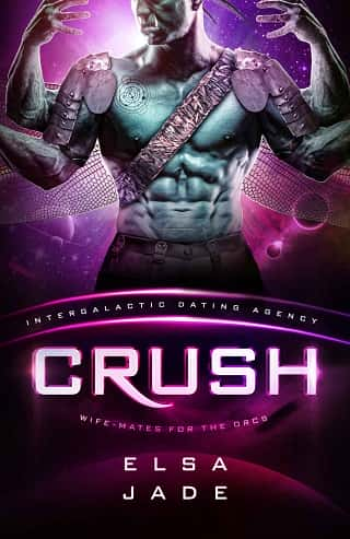 Crush by Elsa Jade