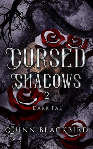 Cursed Shadows #2 by Quinn Blackbird