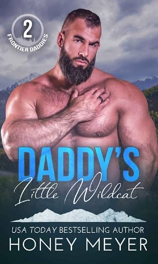 Daddy’s Little Wildcat by Honey Meyer