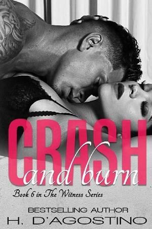Crash and Burn by H. D’Agostino