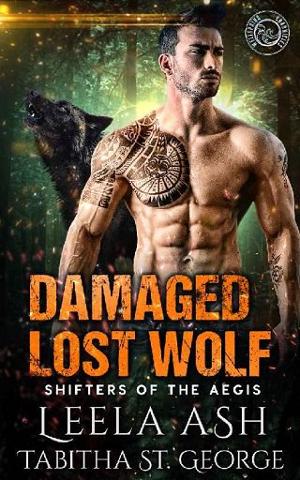 Damaged Lost Wolf by Leela Ash