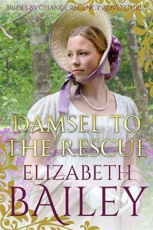 Damsel to the Rescue by Elizabeth Bailey