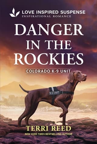 Danger in the Rockies by Terri Reed