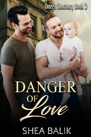 Danger of Love by Shea Balik