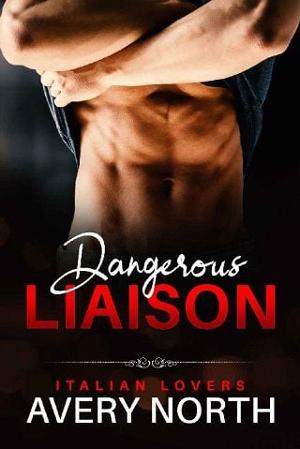 Dangerous Liaison by Avery North