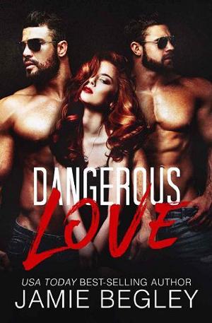 Dangerous Love by Jamie Begley