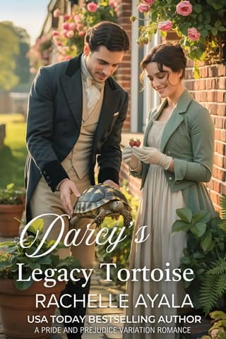 Darcy’s Legacy Tortoise by Rachelle Ayala