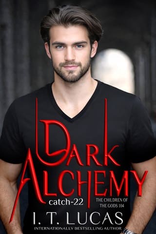 Dark Alchemy: Catch 22 by I. T. Lucas
