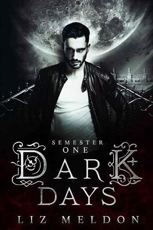 Dark Days, Semester 1 by Liz Meldon